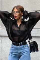 Sheer Organza Puff Sleeve Shirt