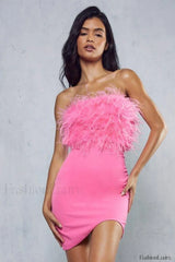 Curved Hem Stylish Feather Mini Dress