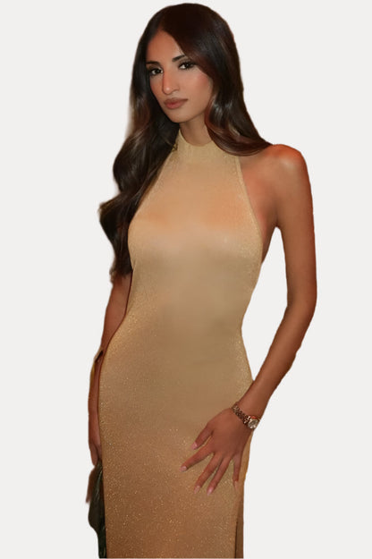 Sexy Halter Neck Backless Long Dress