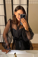 Sheer Organza Wrap Tie Blouse