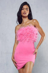 Curved Hem Stylish Feather Mini Dress