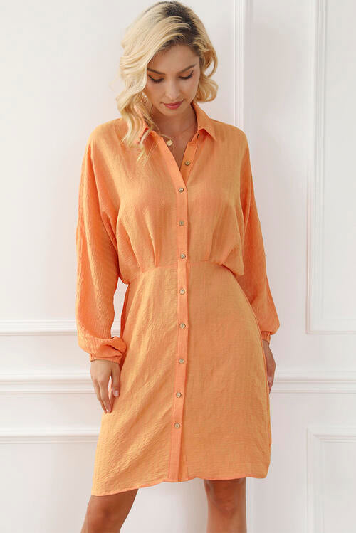 Texture Button Up Balloon Sleeve Shirt Dress