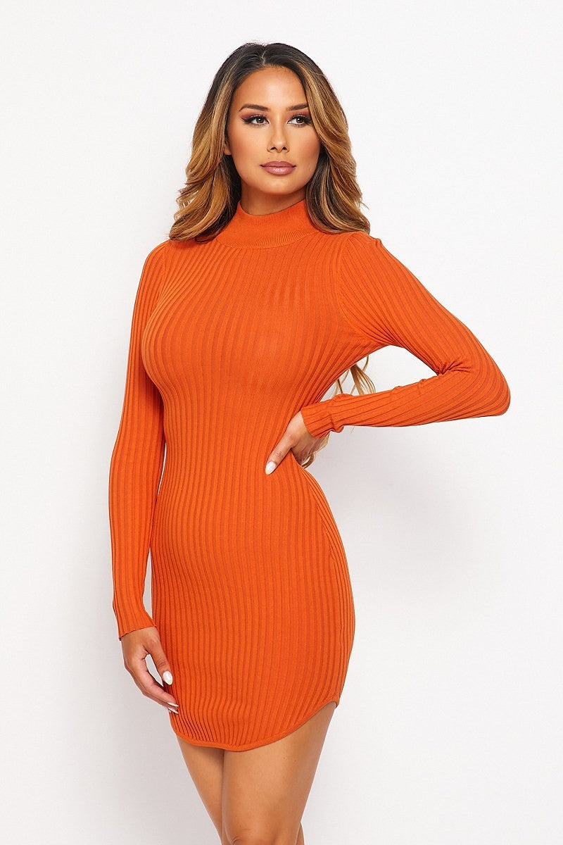 Turtleneck Long Sleeve Mini Dress Ribbed Knit Mock Neck Round Dress